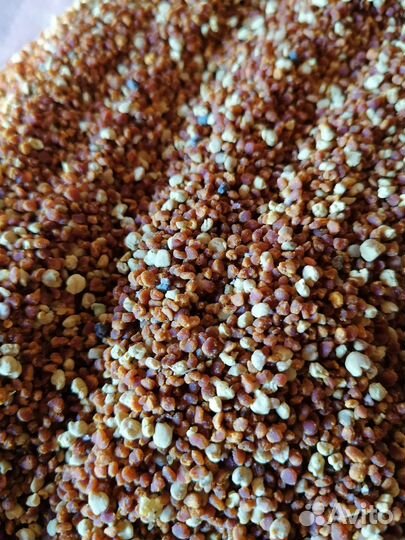 Пыльца пчелиная