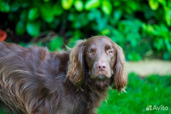 Объектив Tamron 70-180mm f/2.8 Di III VXD G2 Sony