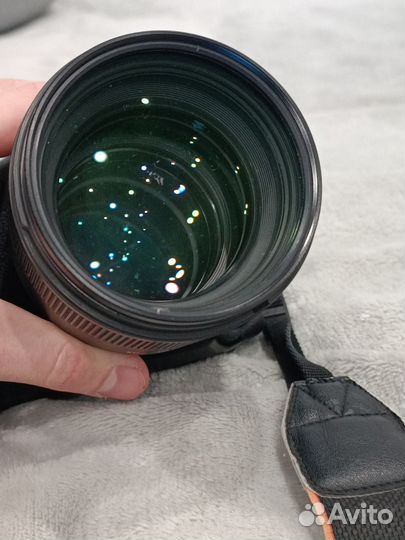 Sony A99 + Sigma 85 1.4