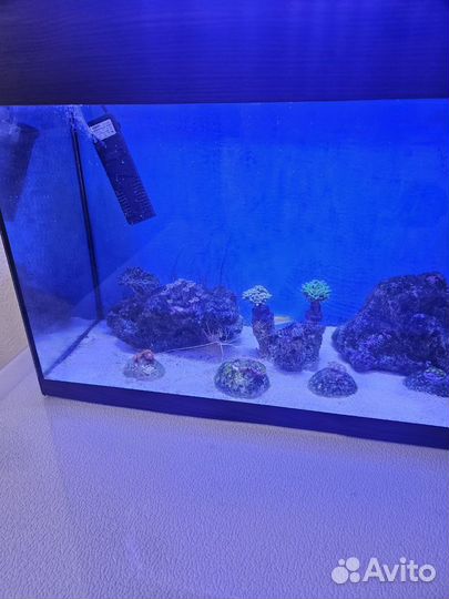 Морской аквариум комплект