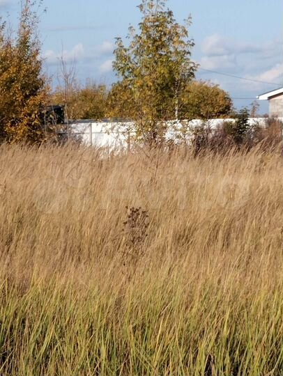 Участок 17 сот. (ИЖС)