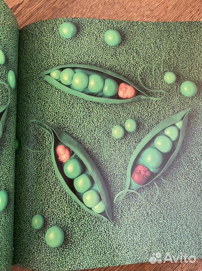 Книга Энн Геддс с автографом автора