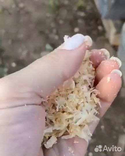 Опилки сухие в брикетах