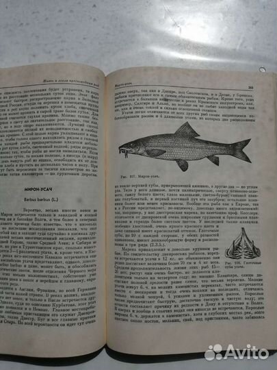 Жизнь и ловля пресноводных рыб
