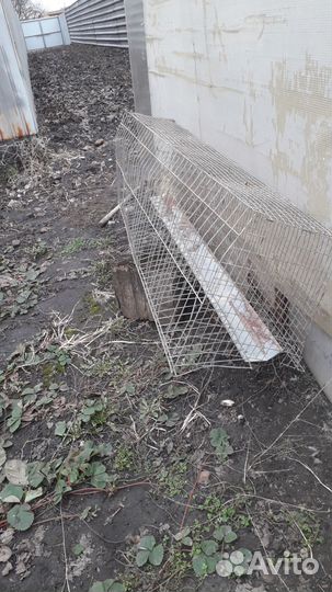 Клетки для кур несушек бу