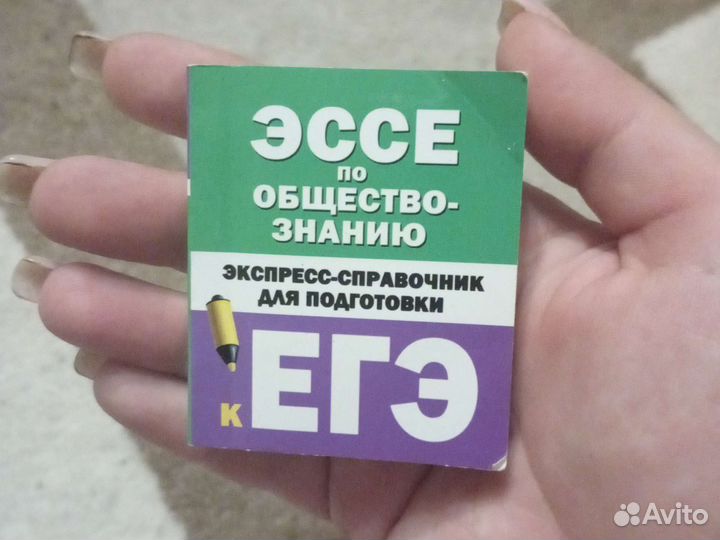 Сборник эссе к егэ, маленькая книжка