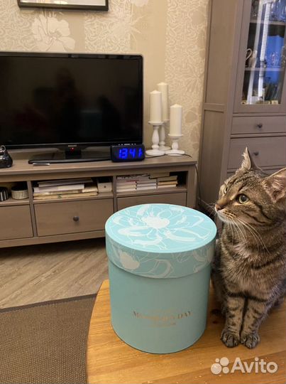 Подарочные коробки