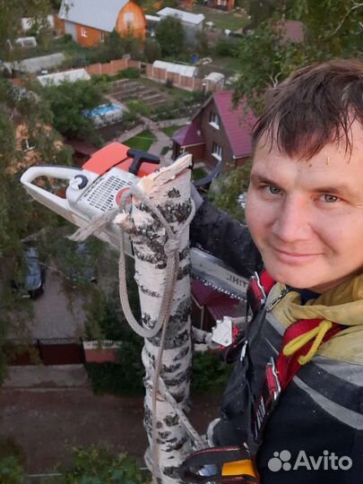 Спил деревьев. Расчистка участков. Удаление пней д