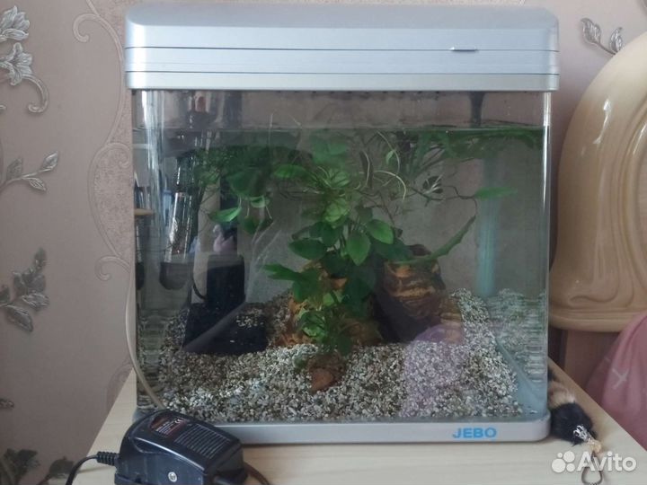 Аквариум jebo