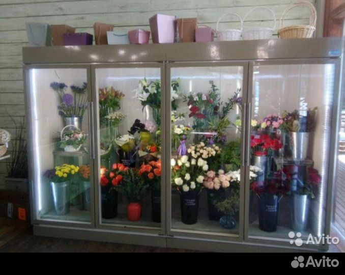 Холодильные шкафы для цветов