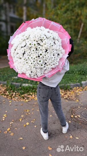 Букет xxxxxl из ромашек (хризантемы)