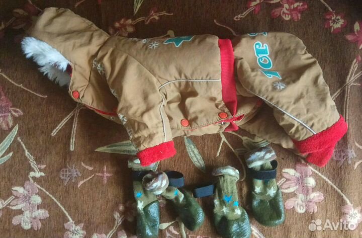 Для маленьких собак