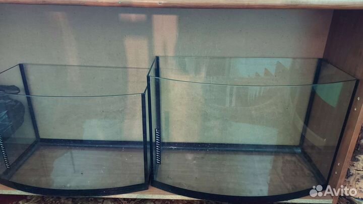 Аквариумные растения