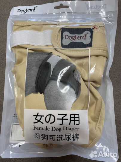 Трусы для собаки
