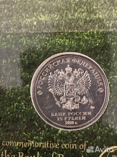 Блистеры обложки для монет