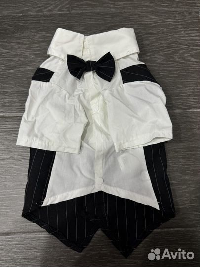 Костюм спокинг для собаки