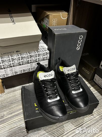 Ecco biom train 1.1 Lace