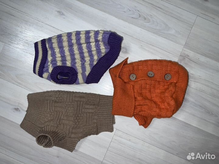 Одежда для собак мелких пород