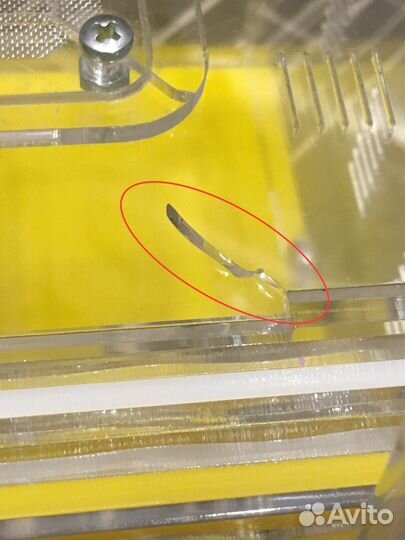 Муравьиная ферма