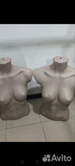 Женский торс