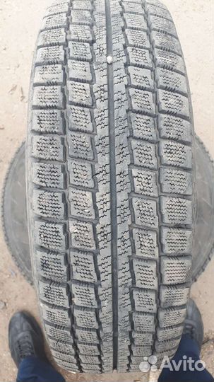 Accelera Accelera 175/75 R14