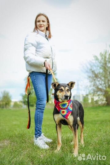 Отдам в добрые руки