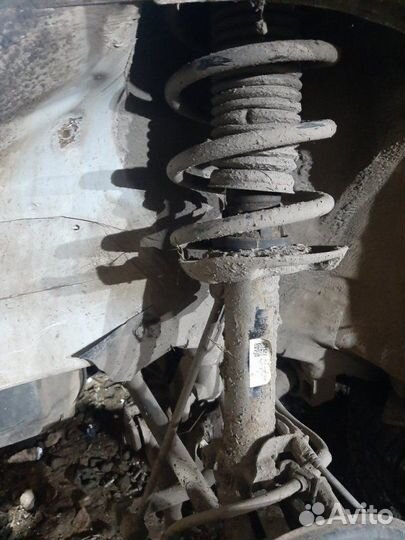 Стойка подвески передняя Skoda Octavia А5 1.6 BSE