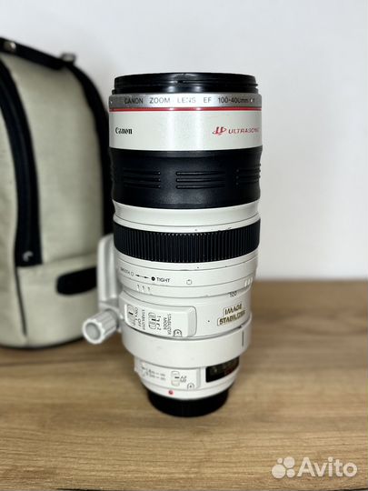 Canon EF 100-400mm f/4-5.6L IS USM