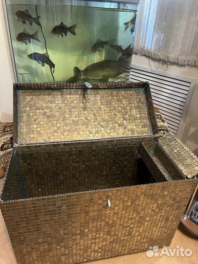 Большой сундук