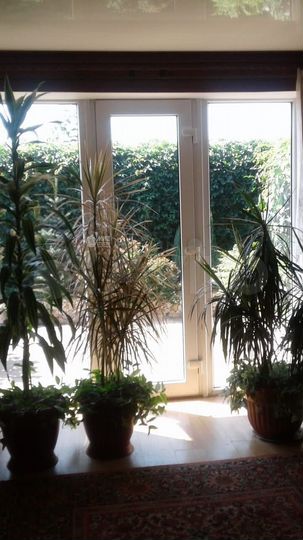 Дом 120 м² на участке 10,5 сот.