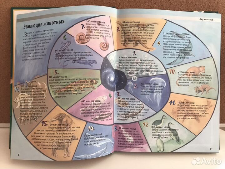 Энциклопедия для детей животные планеты