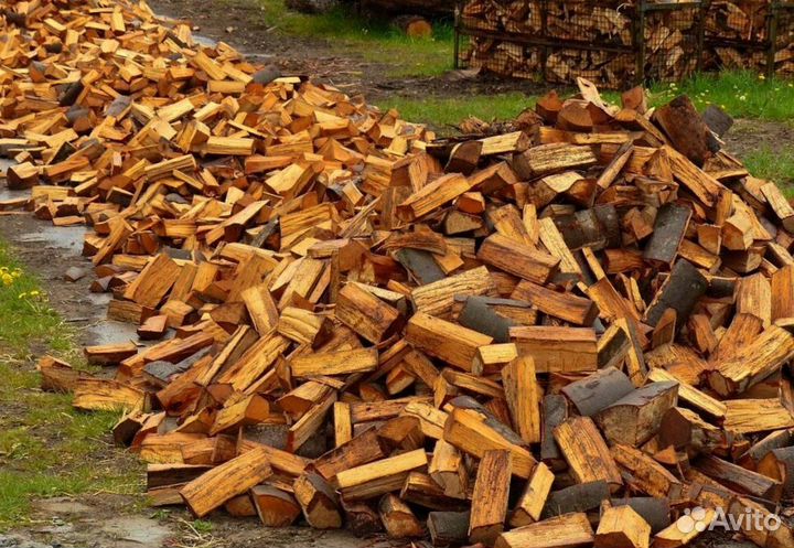 Дрова сегодня