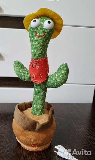 Танцующий и поющий кактус