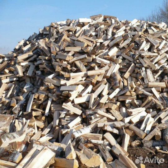 Дрова колотые береза