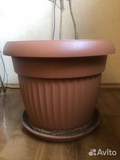 Большой цветочный горшок