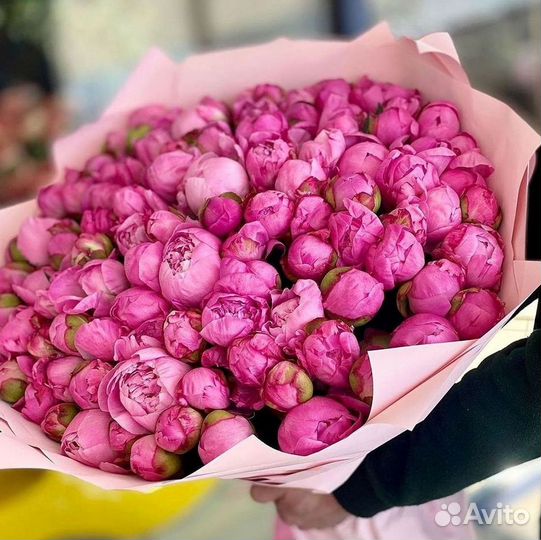 Пионы Букет пионов