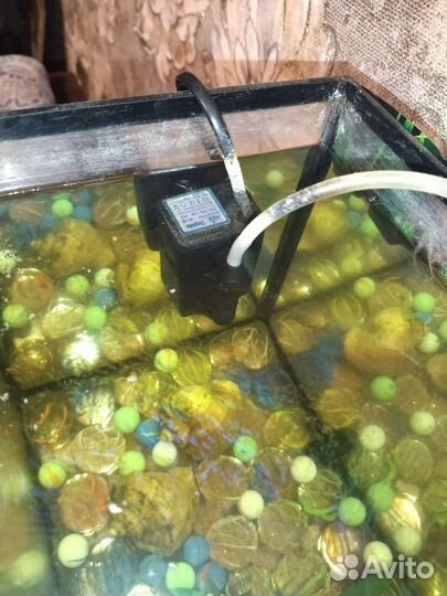 Аквариум для рыбок