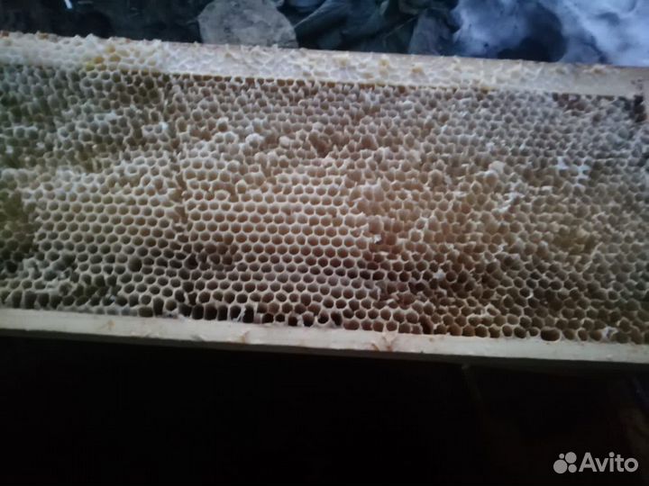 Суш в рамках