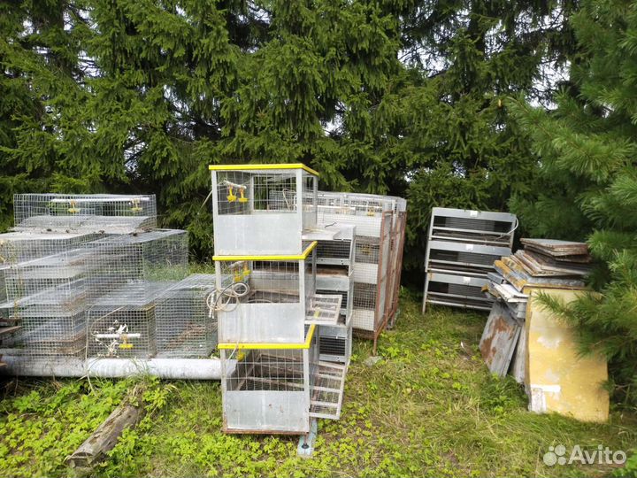 Клетки для кур несушек и бройлеров, брудеры