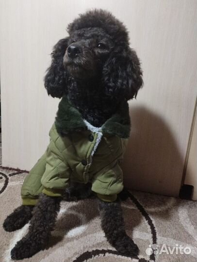 Куртка для собак