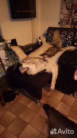 Ковёр. Цена за один