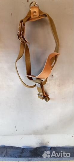 Ошейник Шлейка Поводок Намордник для крупных собак