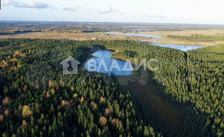 Участок 18,7 сот. (СНТ, ДНП)