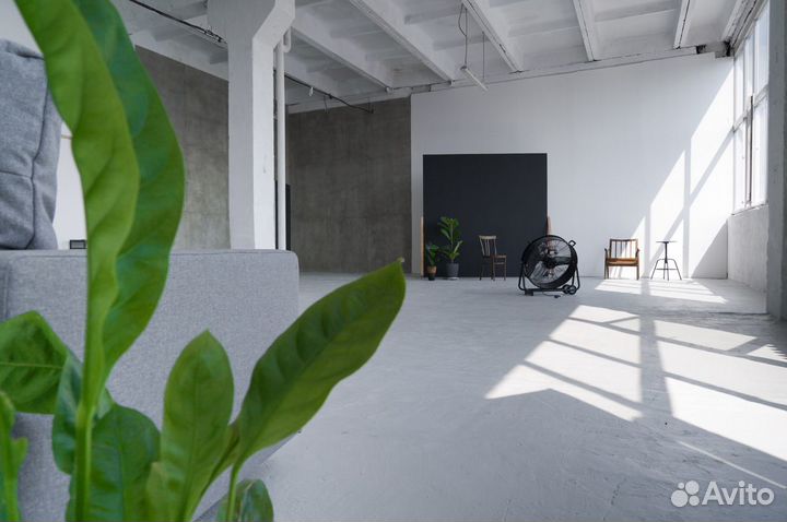 Аренда помещения под праздник