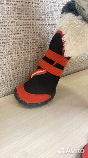 Джемпер, курточка и ботиночки