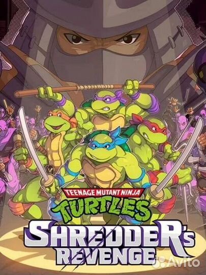 Teenage Mutant Ninja Turtles Shredders Revenge