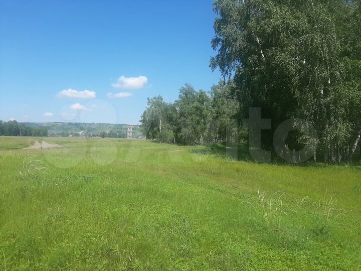 Участок 12,9 сот. (СНТ, ДНП)