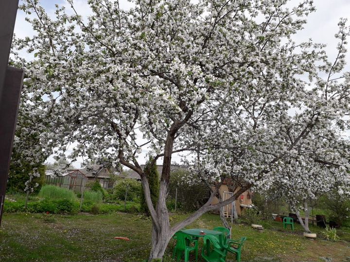 Дача 67,2 м² на участке 7,7 сот.