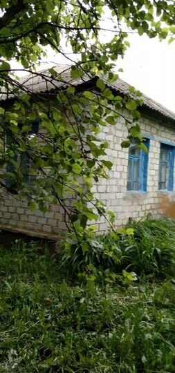 Дом 48 м² на участке 70 сот.