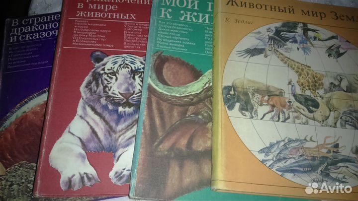 Мир животных, истории. Кусто.Птицы. Кролик, Медвед